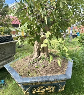 Nhãn công trình 01