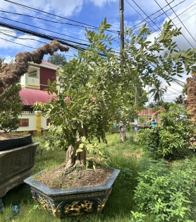 Nhãn công trình 01
