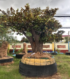 Nhãn công trình 03