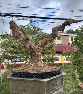 Nhãn công trình 04